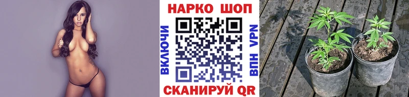 Виды наркотиков купить Камызяк ГАШИШ  СК  АМФЕТАМИН  Cocaine  Меф мяу мяу 