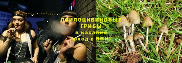 2c-b Богородск