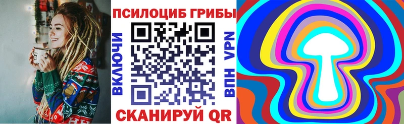 где найти наркотики  Камызяк  Псилоцибиновые грибы Psilocybe 